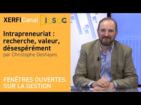 Aperçu vidéo Intrapreneuriat : recherche, valeur, désespérément